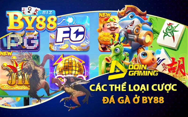 Đá Gà Đòn By88 - Các Giống Gà Nổi Tiêng Nhất Hiện Nay 3 Các Thể Loại Cược Đá Gà Ở By88
